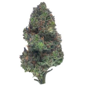 GREASE MONKEY (BOUTIQUE)